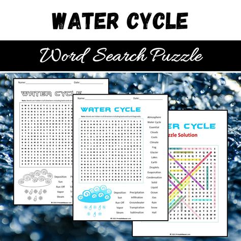 Water Cycle Word Search Puzzle Worksheet PDF – PrintableBazaar