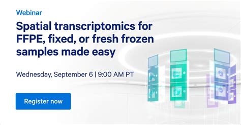 10X Spatial Transcriptomics 的图像结果