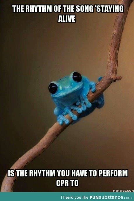 Image result for Fun CPR