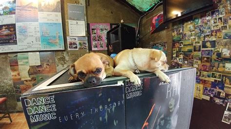 DDM HOUSE (Bangkok) - Inn Reviews, Photos, Rate Comparison - Tripadvisor