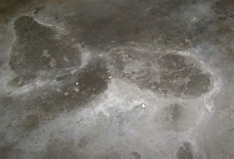 How To Fix Crumbling Concrete Basement Floor? (Solved) - Forever Architect