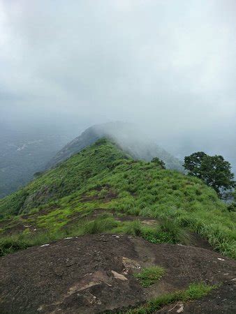 Kattadikadavu View Point (Blathykavala) - 2020 What to Know Before You ...