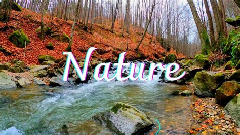 Relax 的图像结果