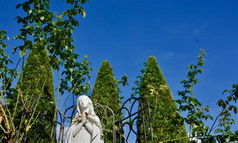 Immaculate... - Immaculate Conception Church Astoria