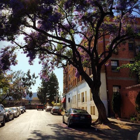 环境 的图像结果