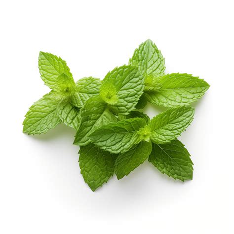 BestLin Gel for Joint & Muscle Pain Relief | Ayurvedic Pain Relief Gel ...