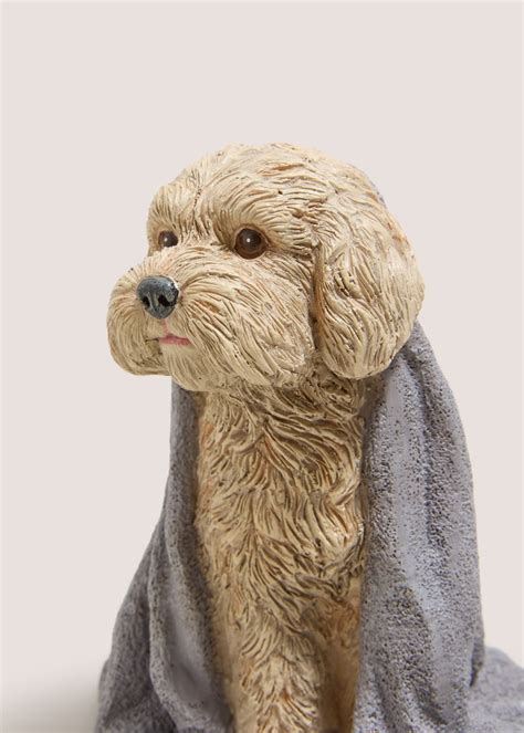 Image result for Beige Cockapoo