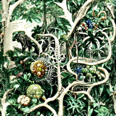 Image result for Computer-Generated Art