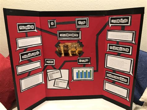 778 best Science Fair images on Pholder | Pics, Blunderyears and ...