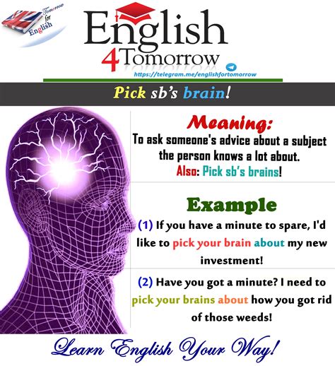 Pick sb's brain | English vocabulary words learning, English idioms ...