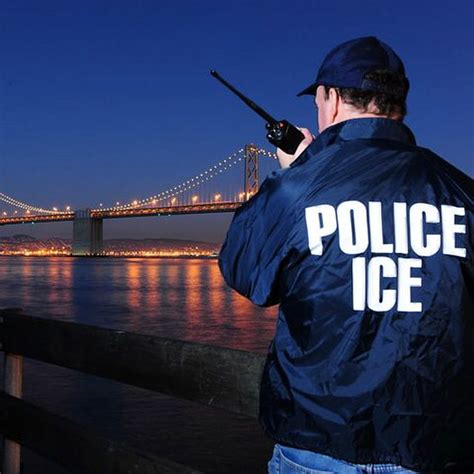 Alien Amnesty 的图像结果