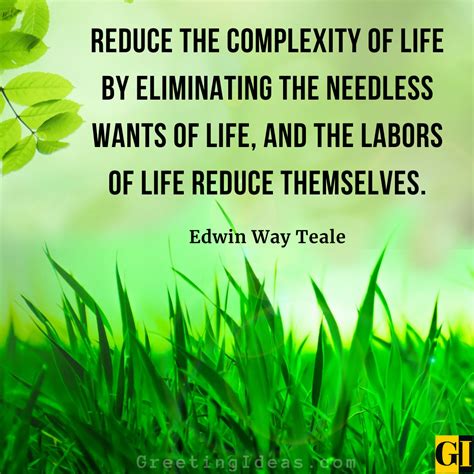 100 Inspiring Live A Simple Life Quotes And Sayings