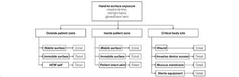 Hierarchical Coding System 的图像结果