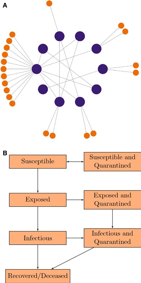 Build Contact of Network 的图像结果