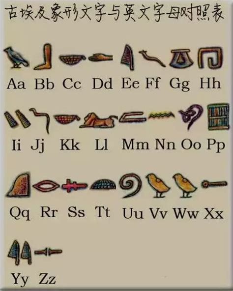 埃及的官方语言是什么