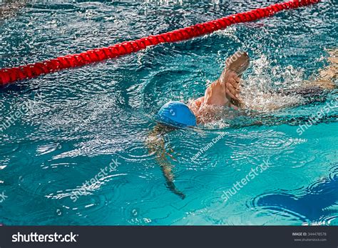 Swimmer 的图像结果