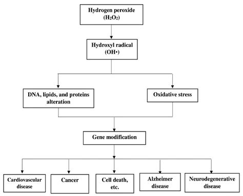 Hydrogen Peroxide Effects on Natural-Sourced Polysacchrides: Free ...
