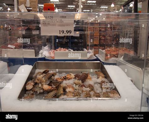 Fresh lobster tails on sale at Costco Wholesale, a USA big box chain ...