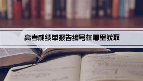 高考成绩单报告编号在哪里获取_学文网