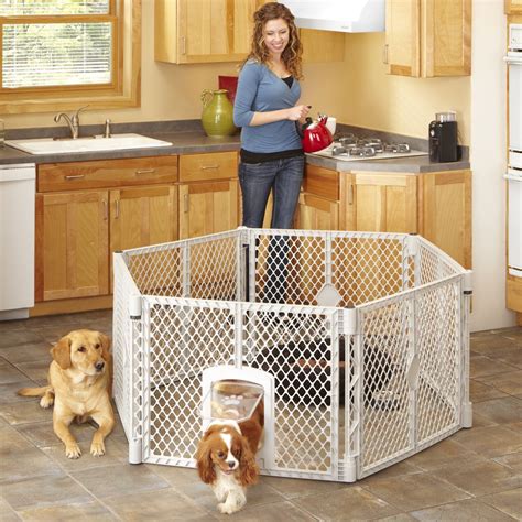 Your Ultimate Expert Guide To Crate Training A Puppy | Dog playpen, Dog ...