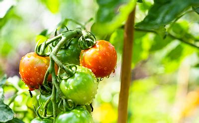 MITSUI PES™ (Polyethersulfone and polyethersulfone compounds) | Mitsui ...