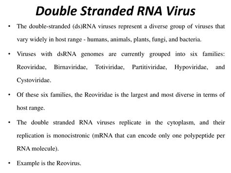 PPT - Viral Genomes PowerPoint Presentation, free download - ID:438736