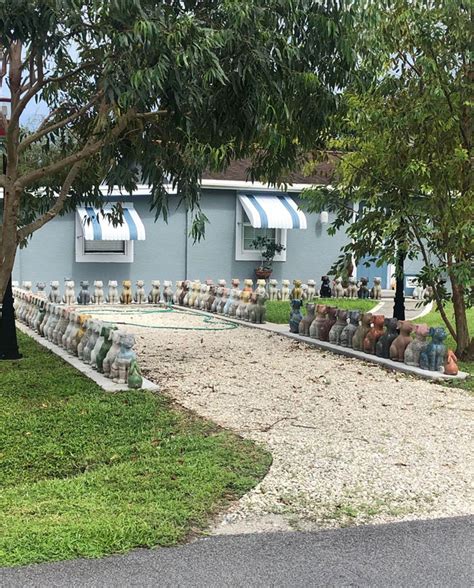 Image result for Practically Neighbors