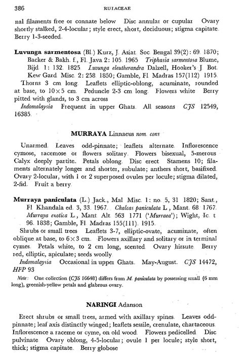 Herbarium JCB