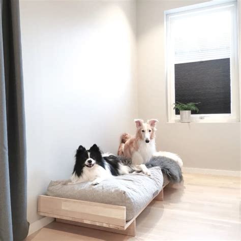 dog bed ideas for small spaces