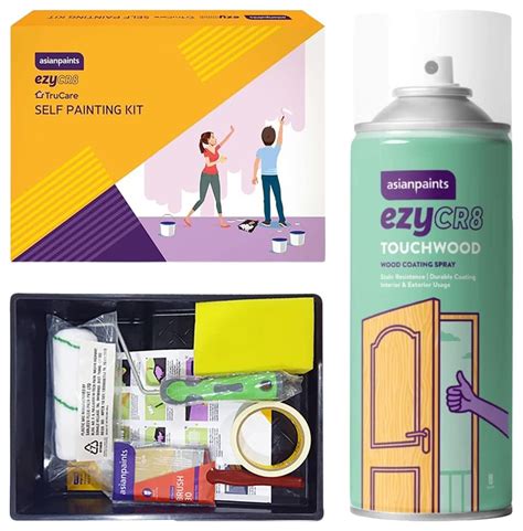 Asian Paints EzyCR8 TruCare DIY Self Painting Kit for Walls and Other ...