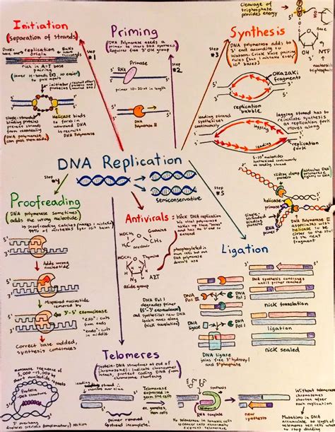 Biochemistry Tutorials 的图像结果