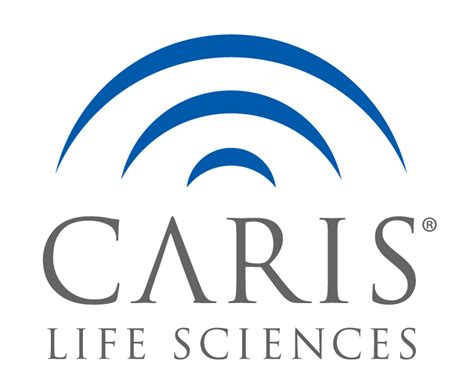 Caris JavaScript API 的图像结果
