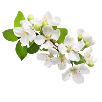 Image result for Template Library Java
