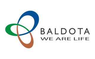 History - Baldota