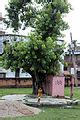 Image result for Railway Reservation System Python Project Flowchart