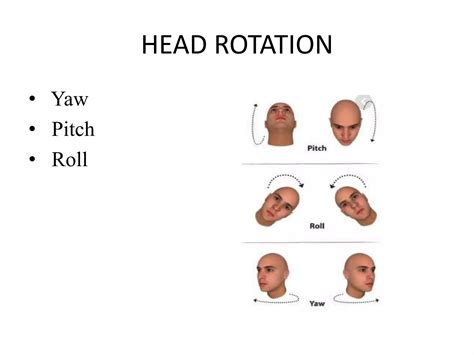 Image result for Vestibular Function