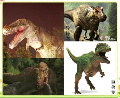 中国最强大的十大食肉恐龙,揭秘中国有哪些食肉恐龙_探秘志