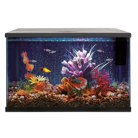 Top Fin 20 Gallon Hexagon Aquarium Starter Kit at Hamish Payne blog