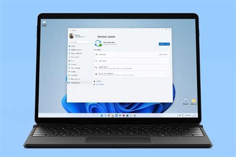 Image result for Auto Updates Settings