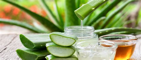 How to Use Aloe Vera Juice and Its Benefits – Farm Naturelle