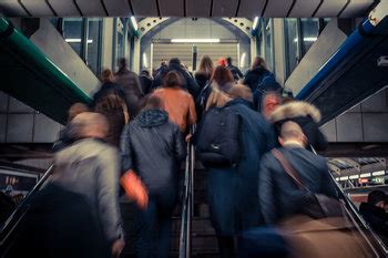 Society Example Pic 的图像结果