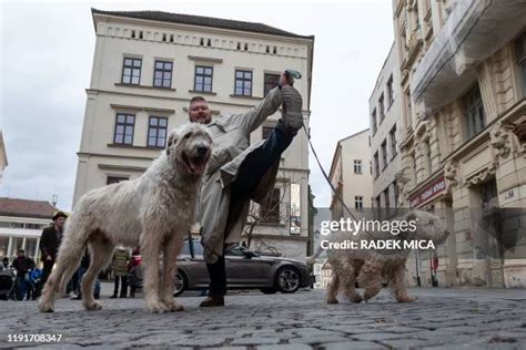 Image result for Monty Python Walk This Way