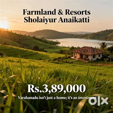Resort style farm sale - Lands & Plots - 1822918686
