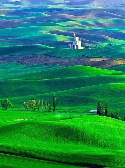 华盛顿州 帕卢斯 的图像结果