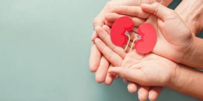 Comprehensive Kidney Stone Care | House of Doctors Blog