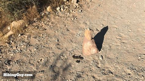 Hike First Creek Canyon Trail