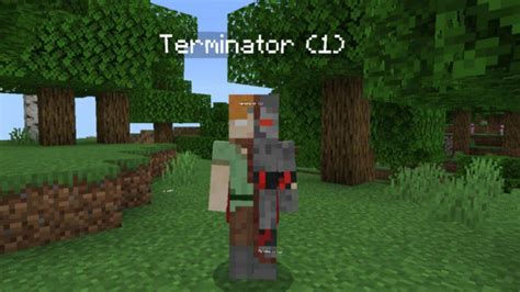 Image result for Minecraft Terminator Mod Download