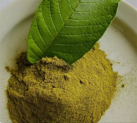 Indian Herbal Extracts - Triphala Herbal Extract Trader - Wholesaler ...