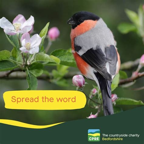 Stondon Local Store 的图像结果