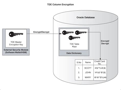 Image result for Transparent Data Encryption Oracle Database Key Management Framework